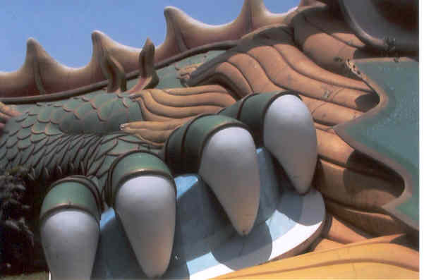 dragonhaw.jpg