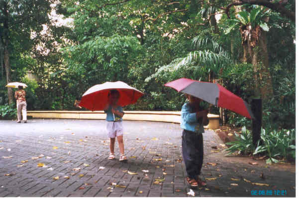 intherain.jpg