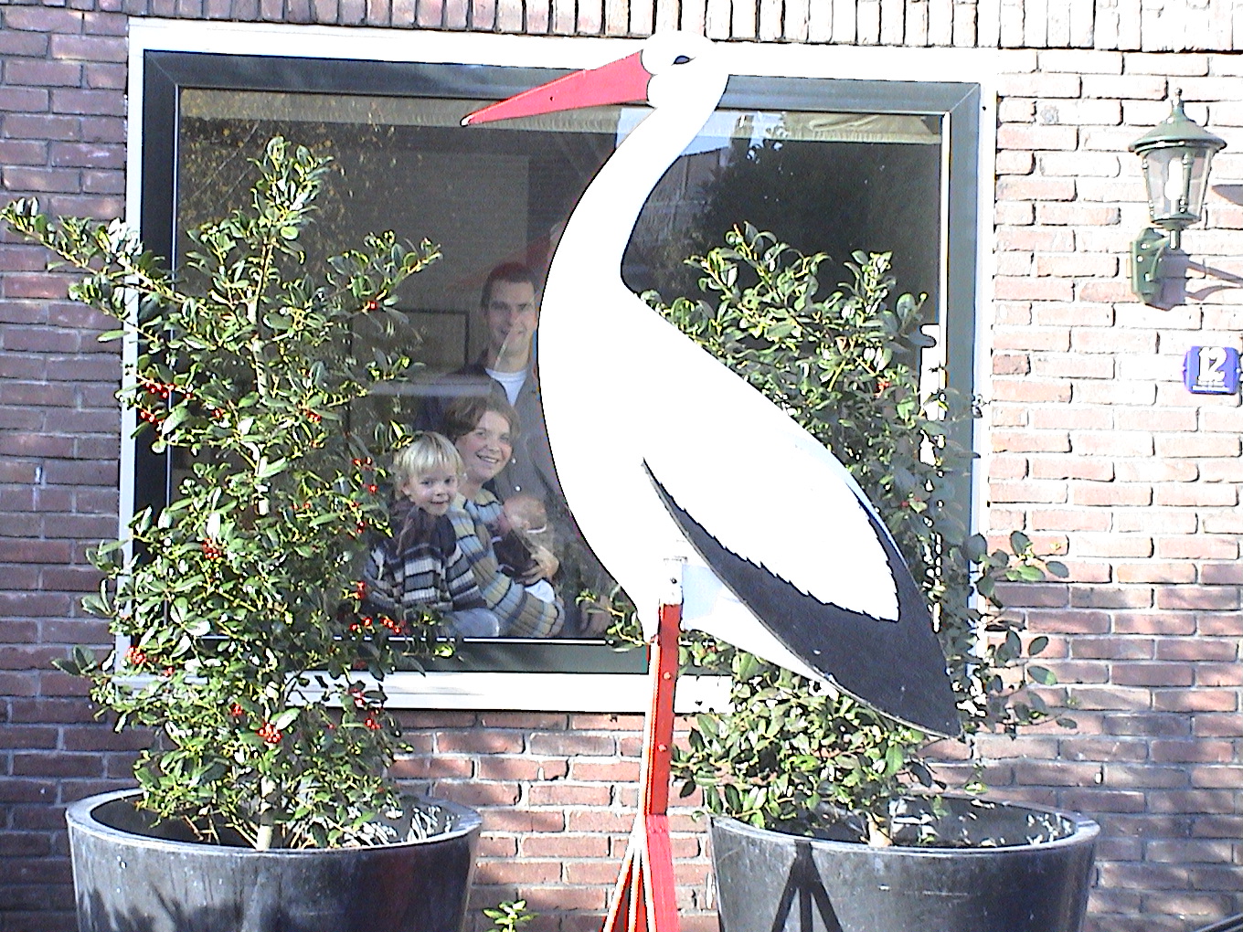 ooievaar.jpg