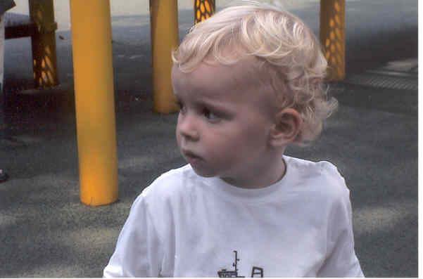 playgroundzoo.jpg