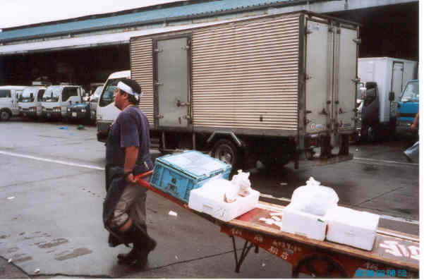 tsukiji-fishmarket.jpg